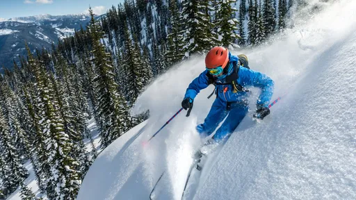 Powder in Motion